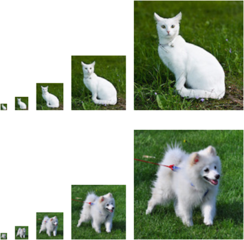 Images of varying resolutions ($10 \\times 10$, $20 \\times 20$, $40 \\times 40$, $80 \\times 80$, and $160 \\times 160$ pixels).
